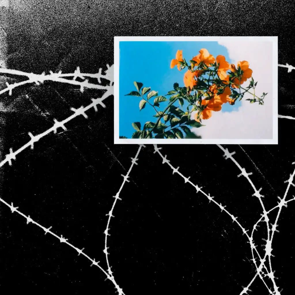 artist-header-image