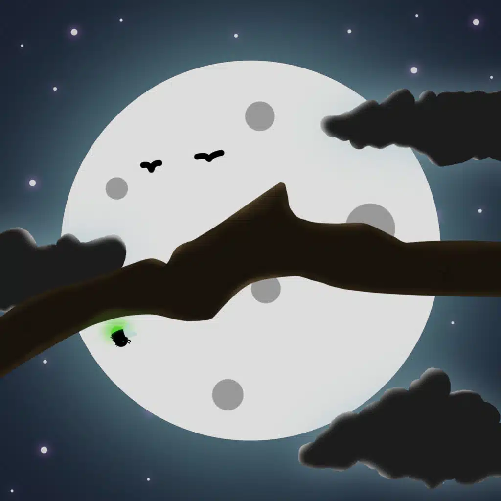header-image