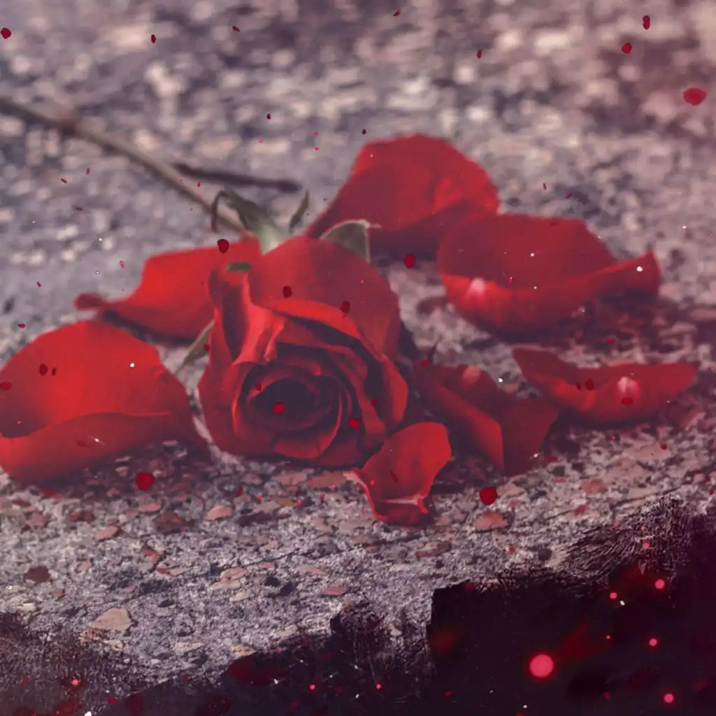 artist-header-image