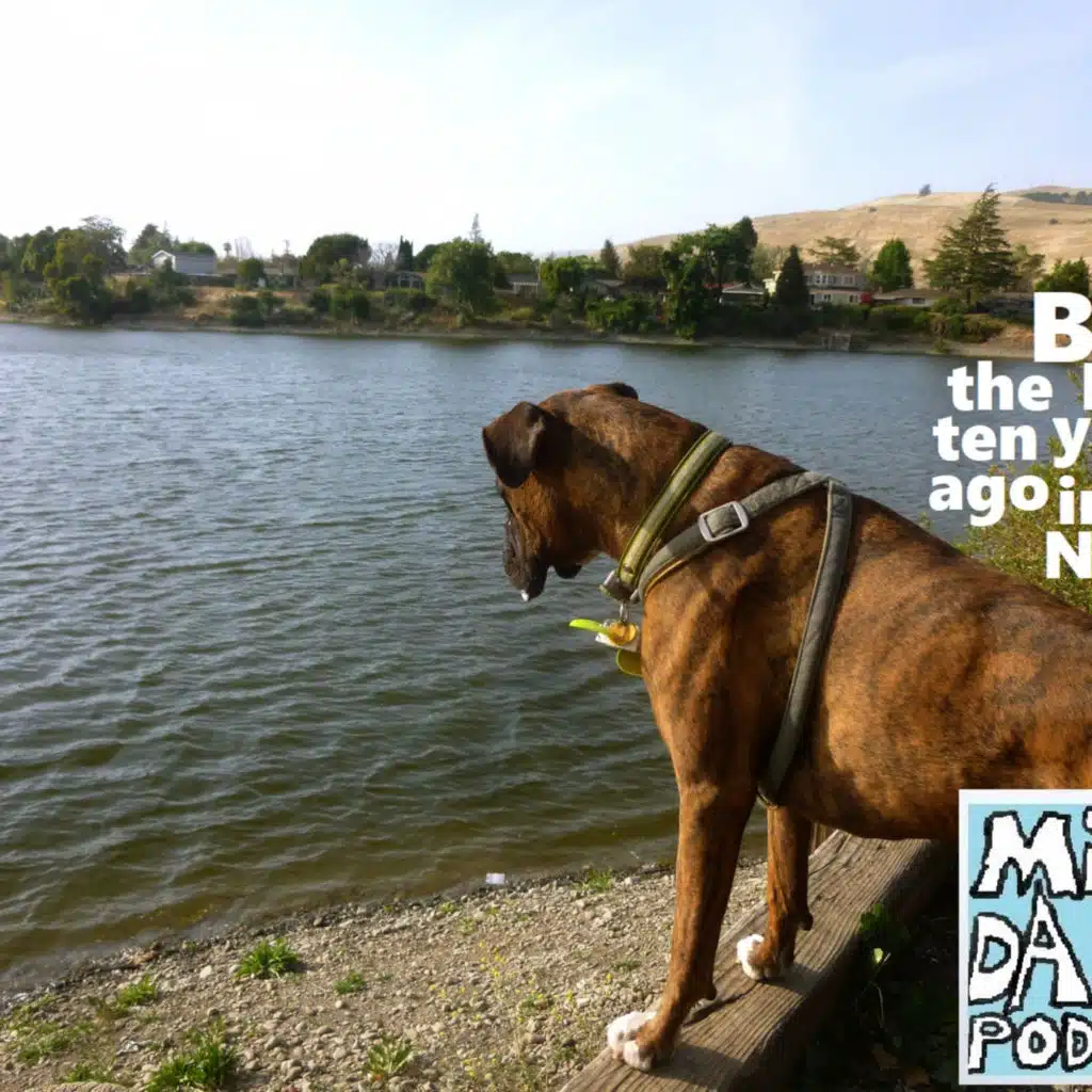episode-header-image