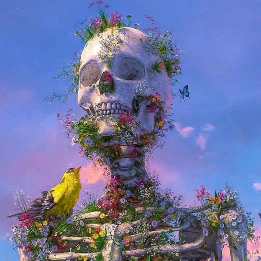 header-image