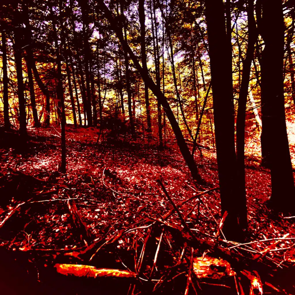 header-image