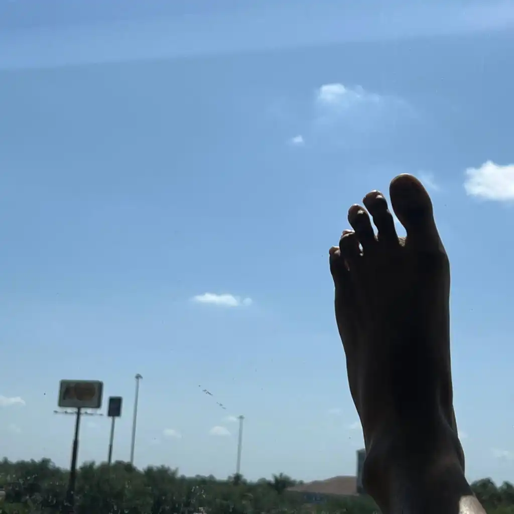 header-image