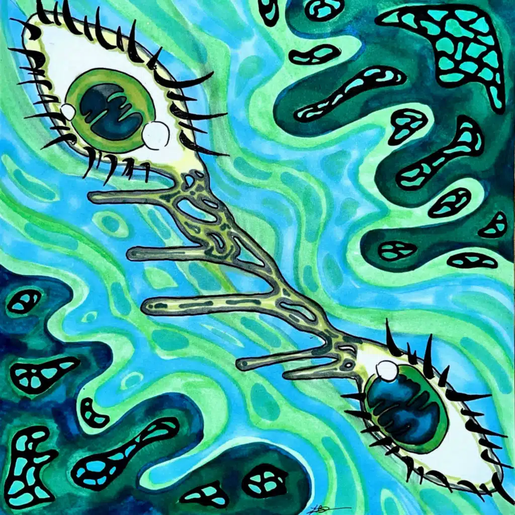 artist-header-image