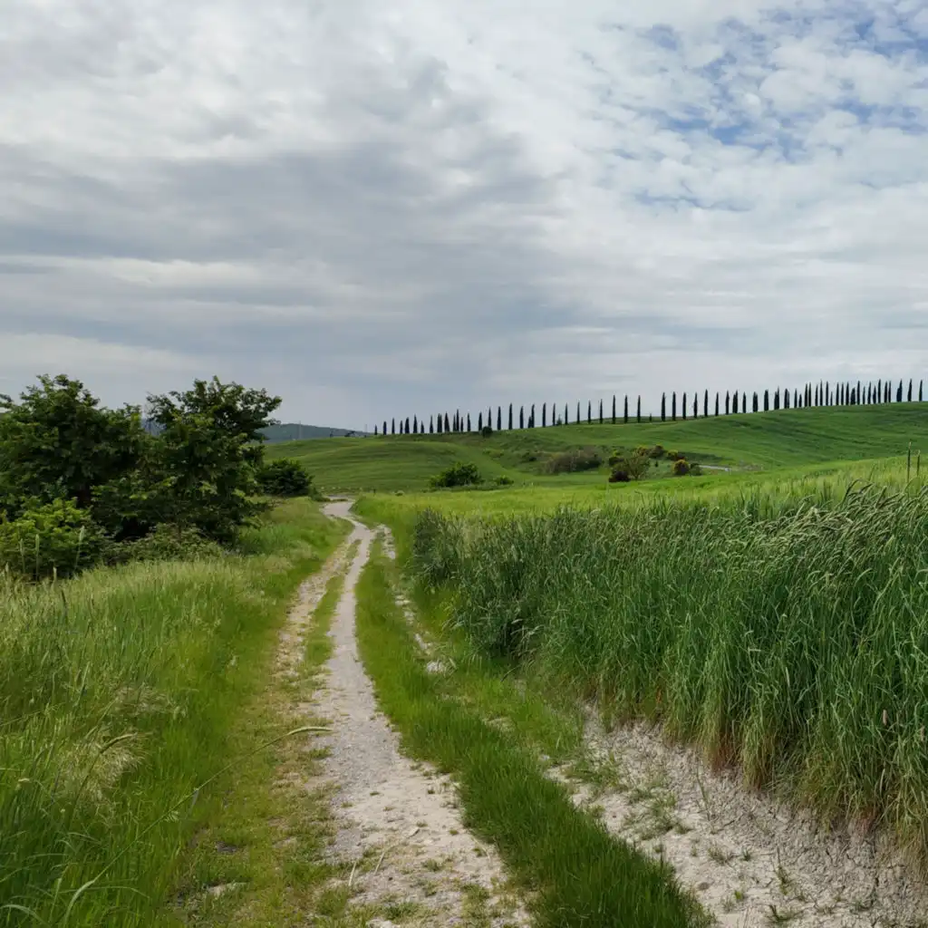 episode-header-image