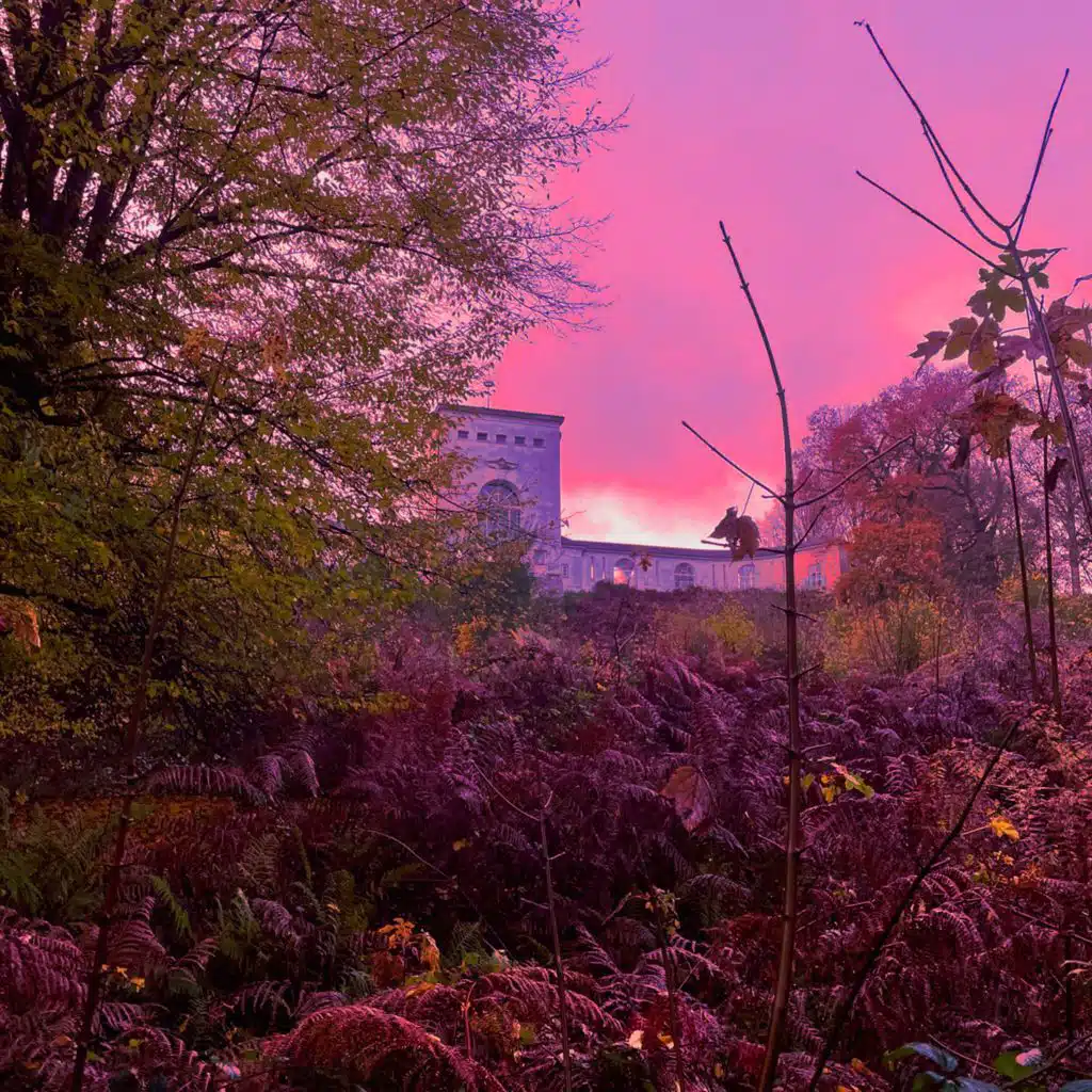 header-image