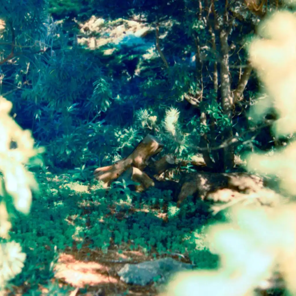 artist-header-image