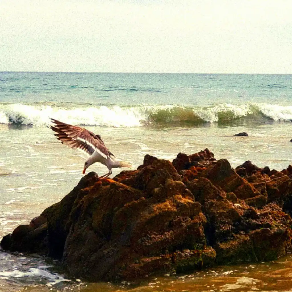 artist-header-image