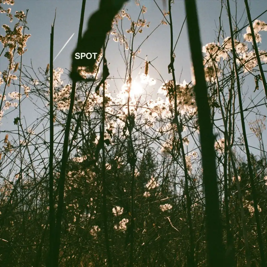 artist-header-image