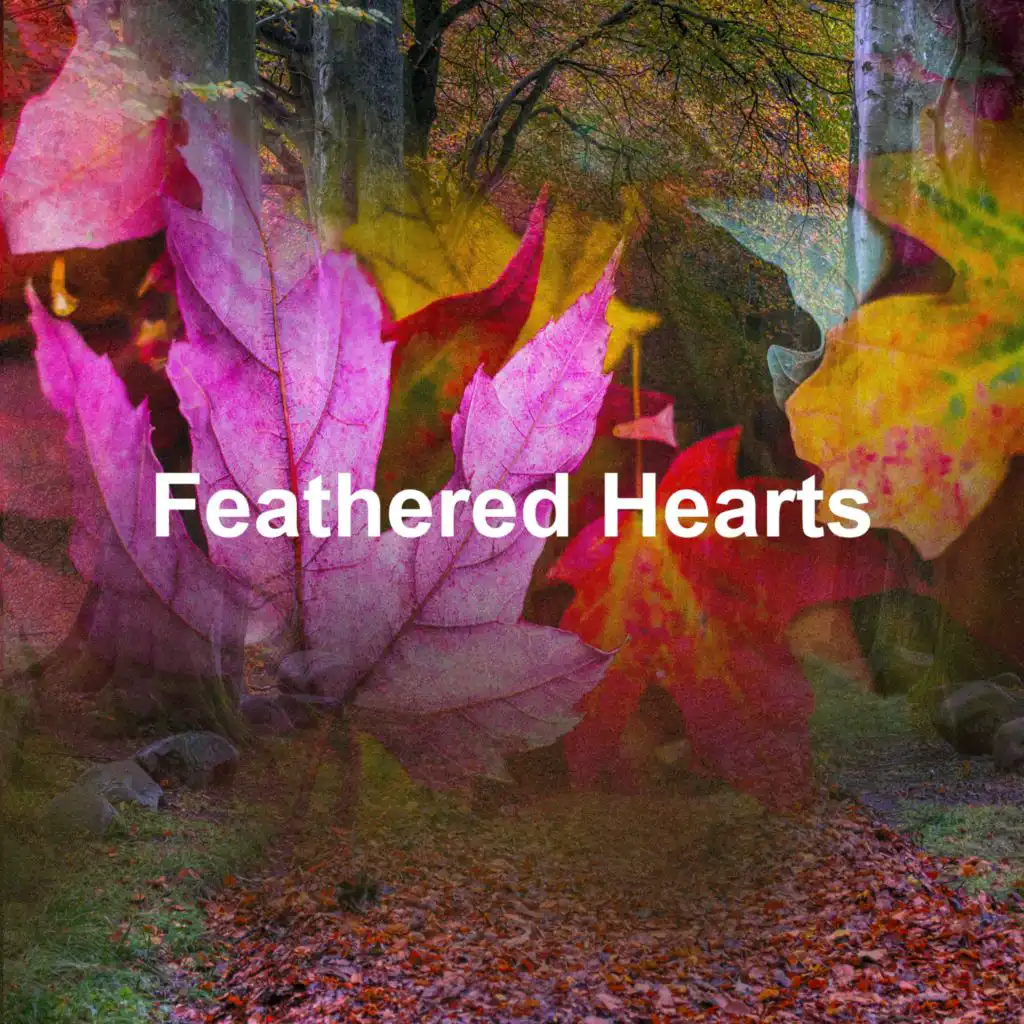 header-image