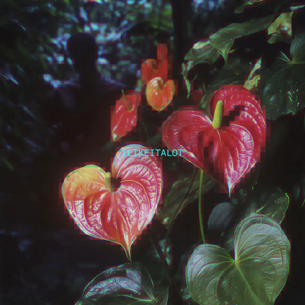 artist-header-image