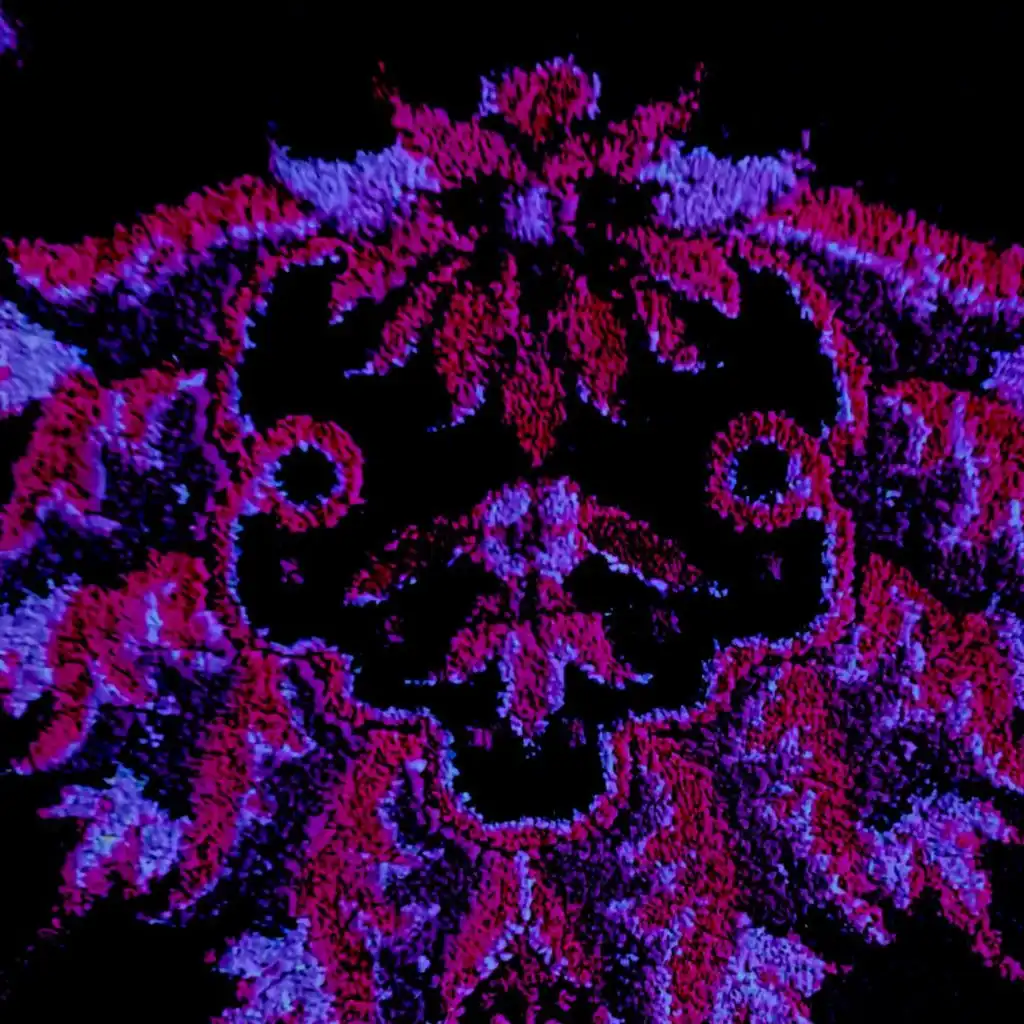 artist-header-image