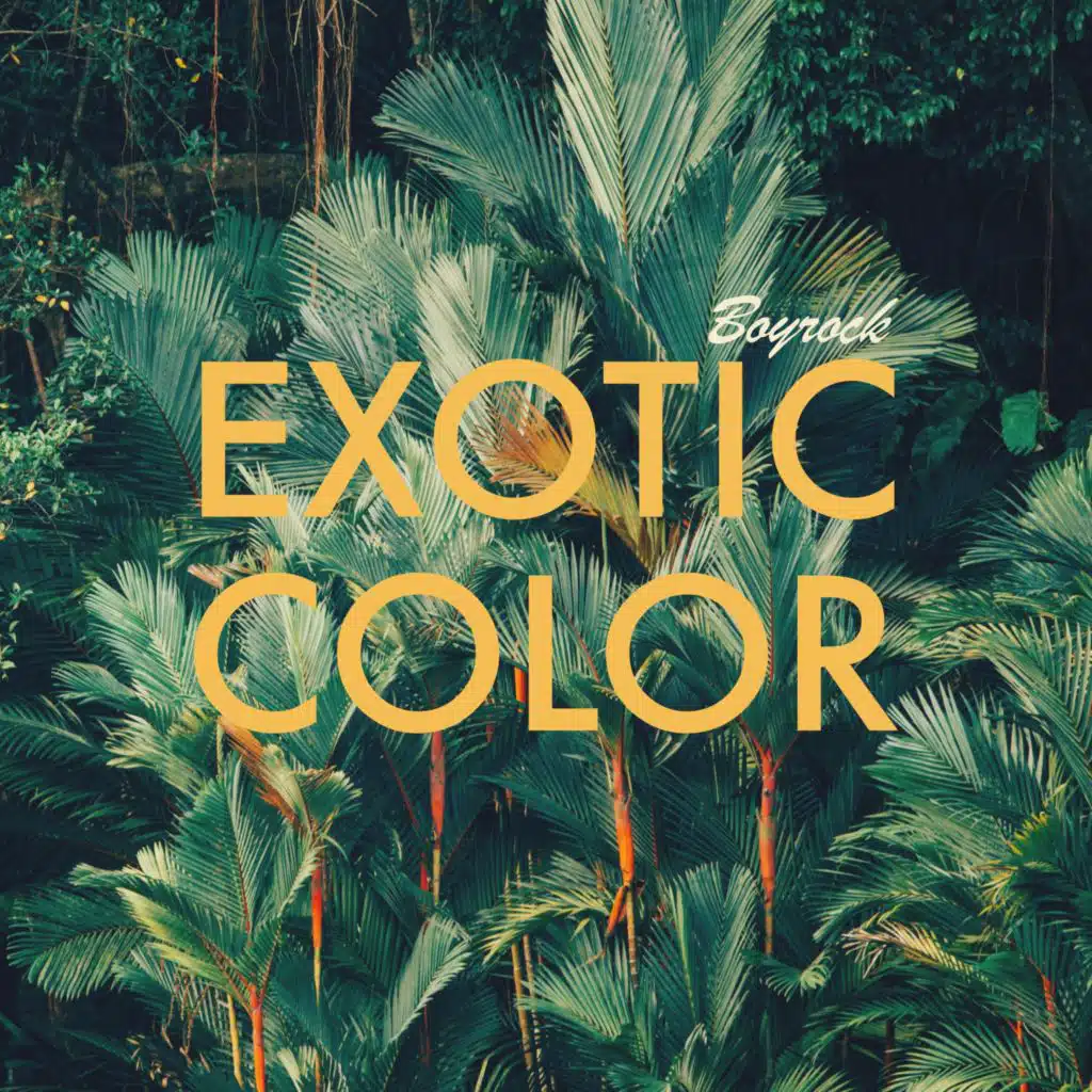 artist-header-image