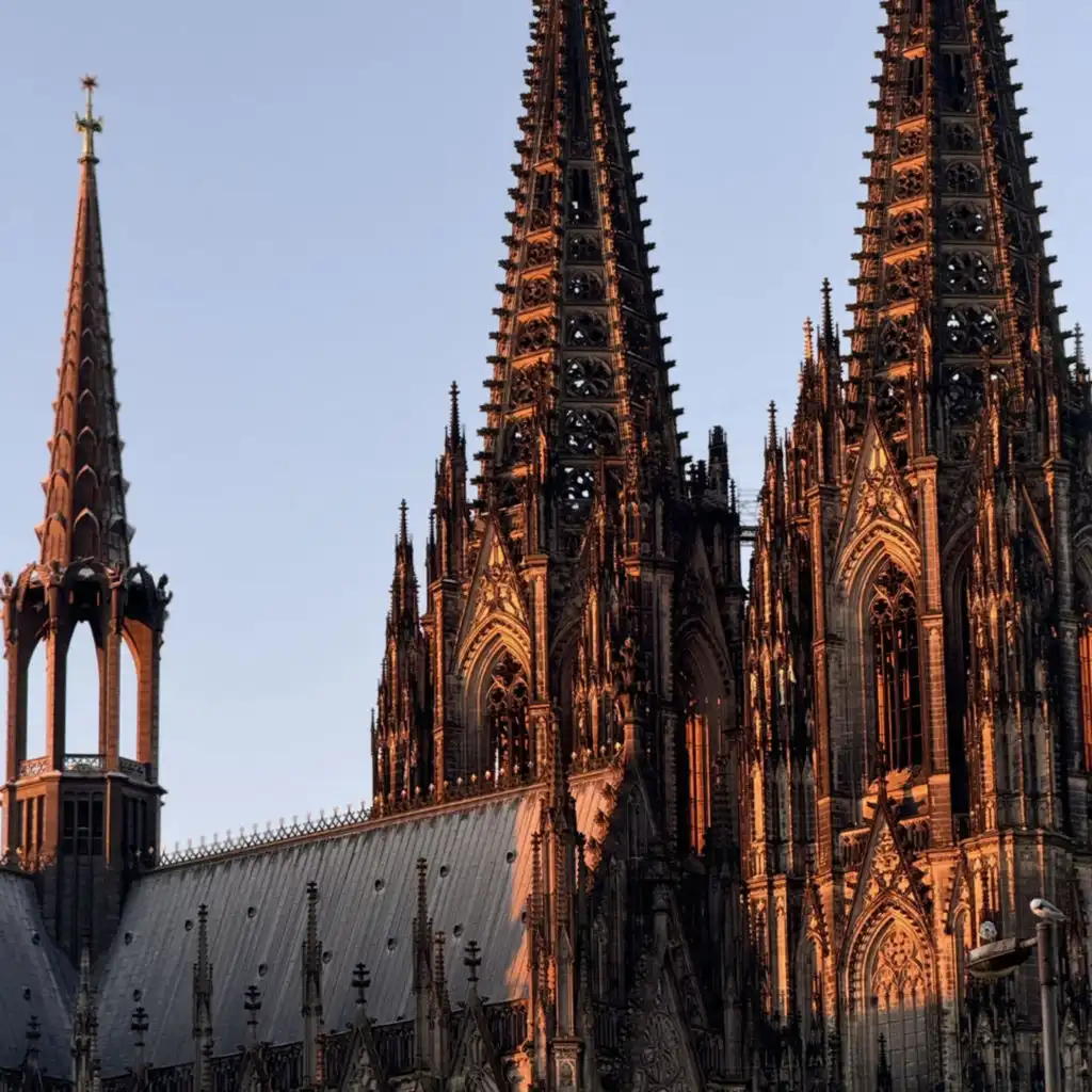 header-image