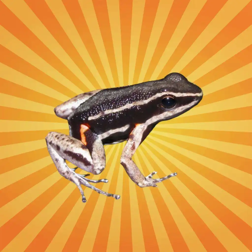 episode-header-image