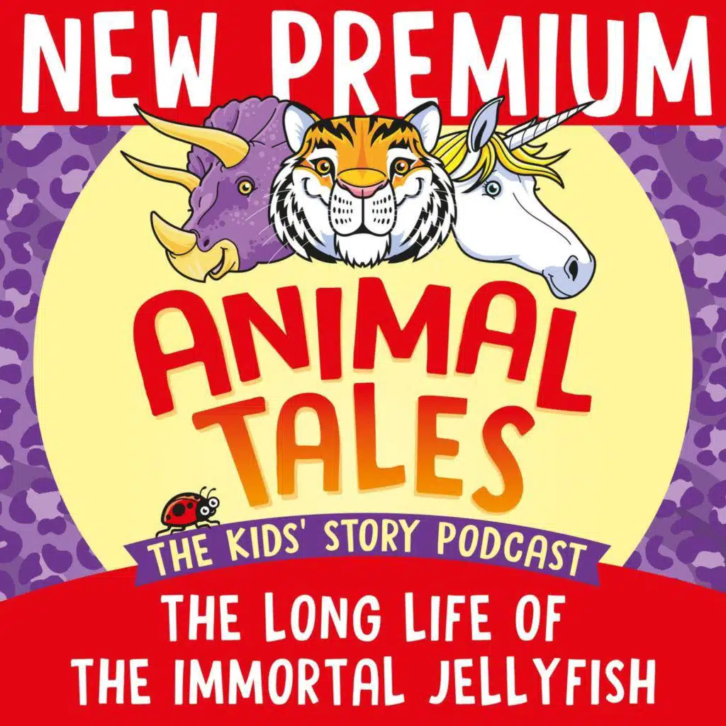 episode-header-image
