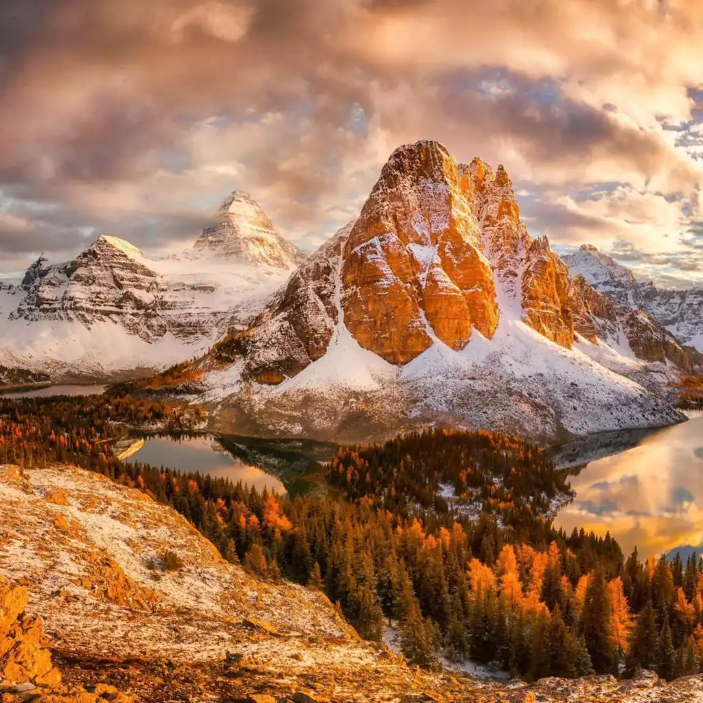 header-image