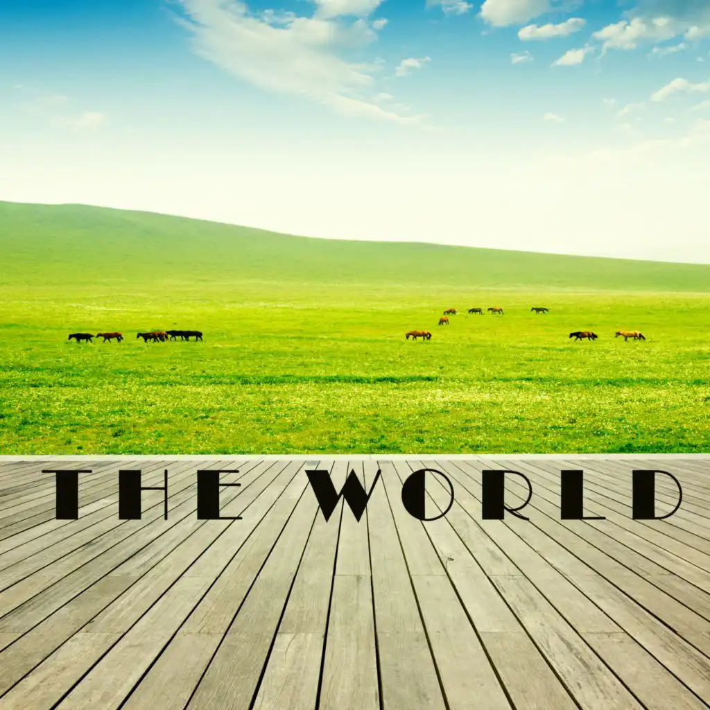 header-image