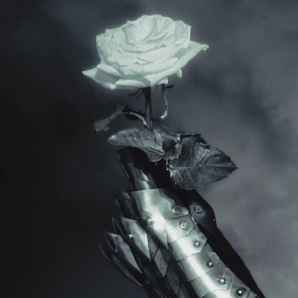 artist-header-image