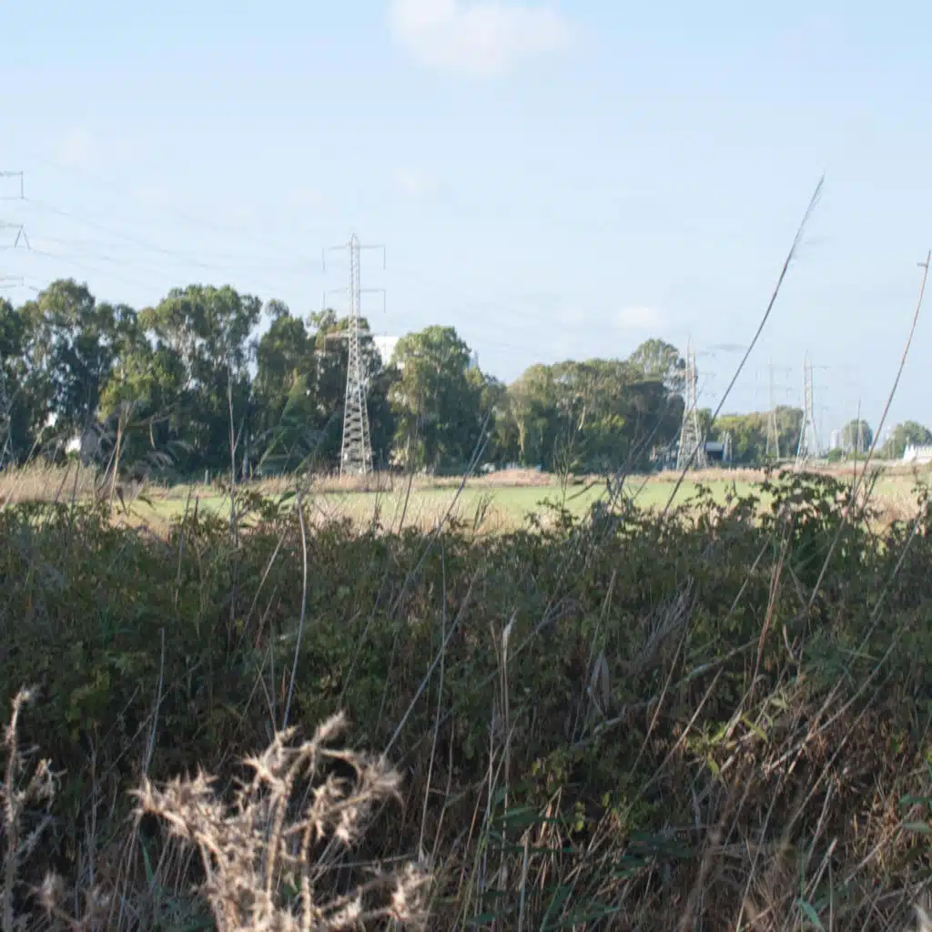 header-image