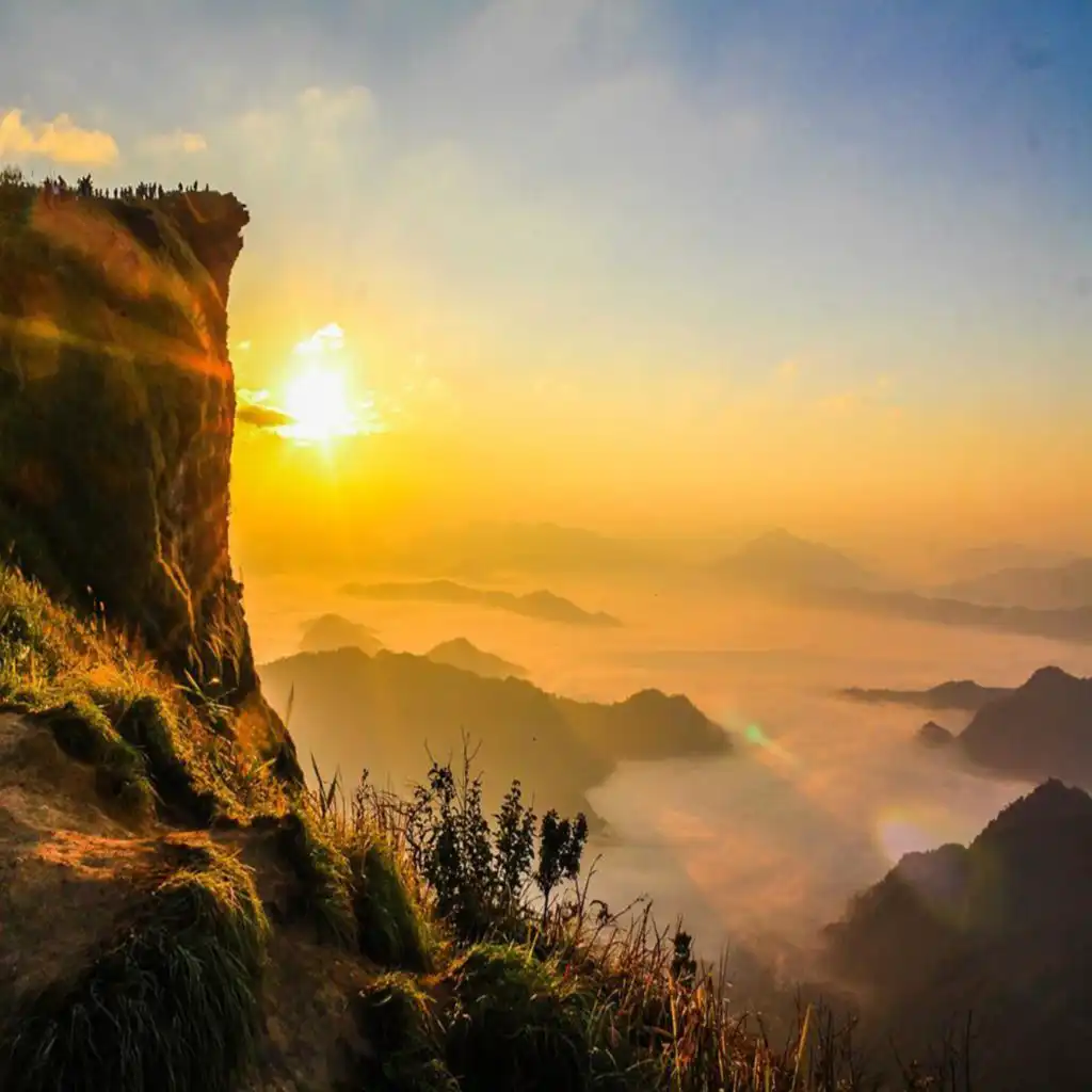 header-image