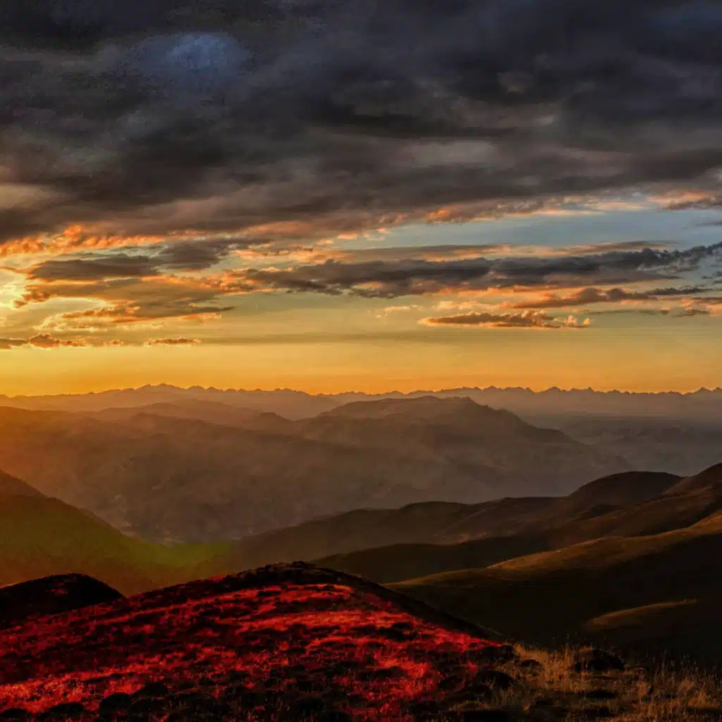 header-image