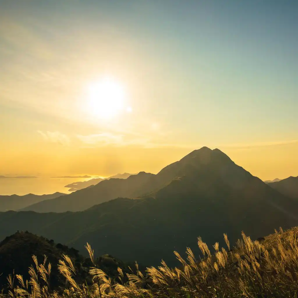 artist-header-image