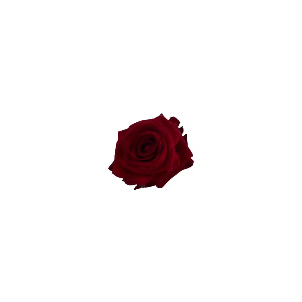 artist-header-image