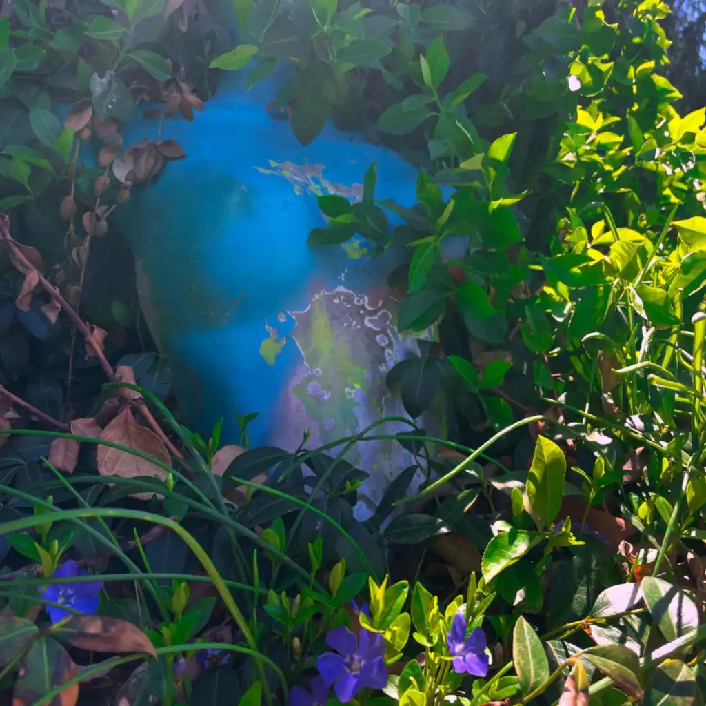 artist-header-image