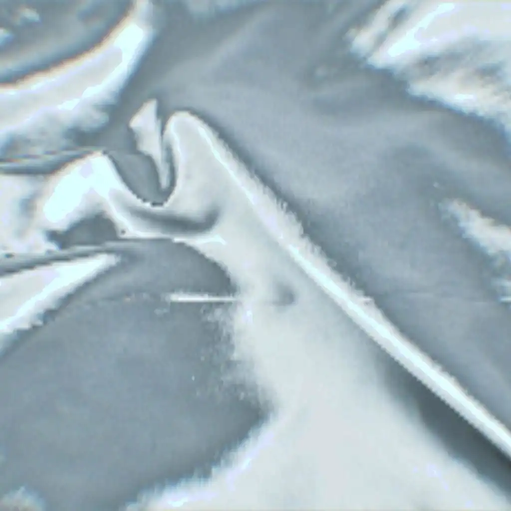artist-header-image