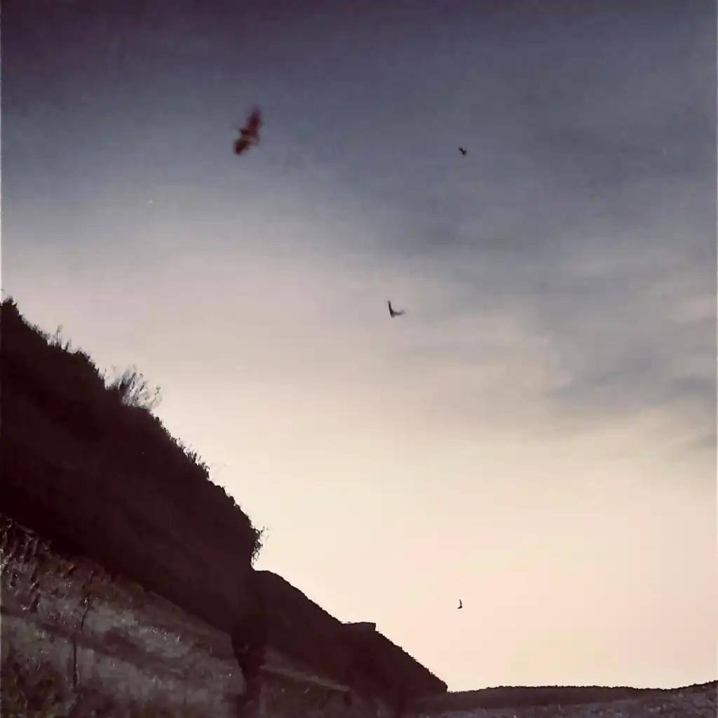 artist-header-image