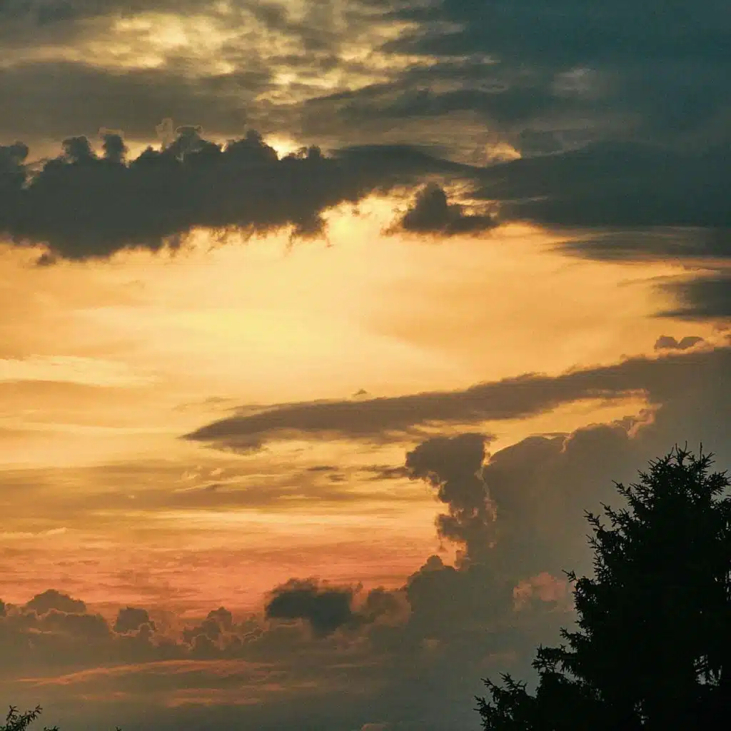 header-image
