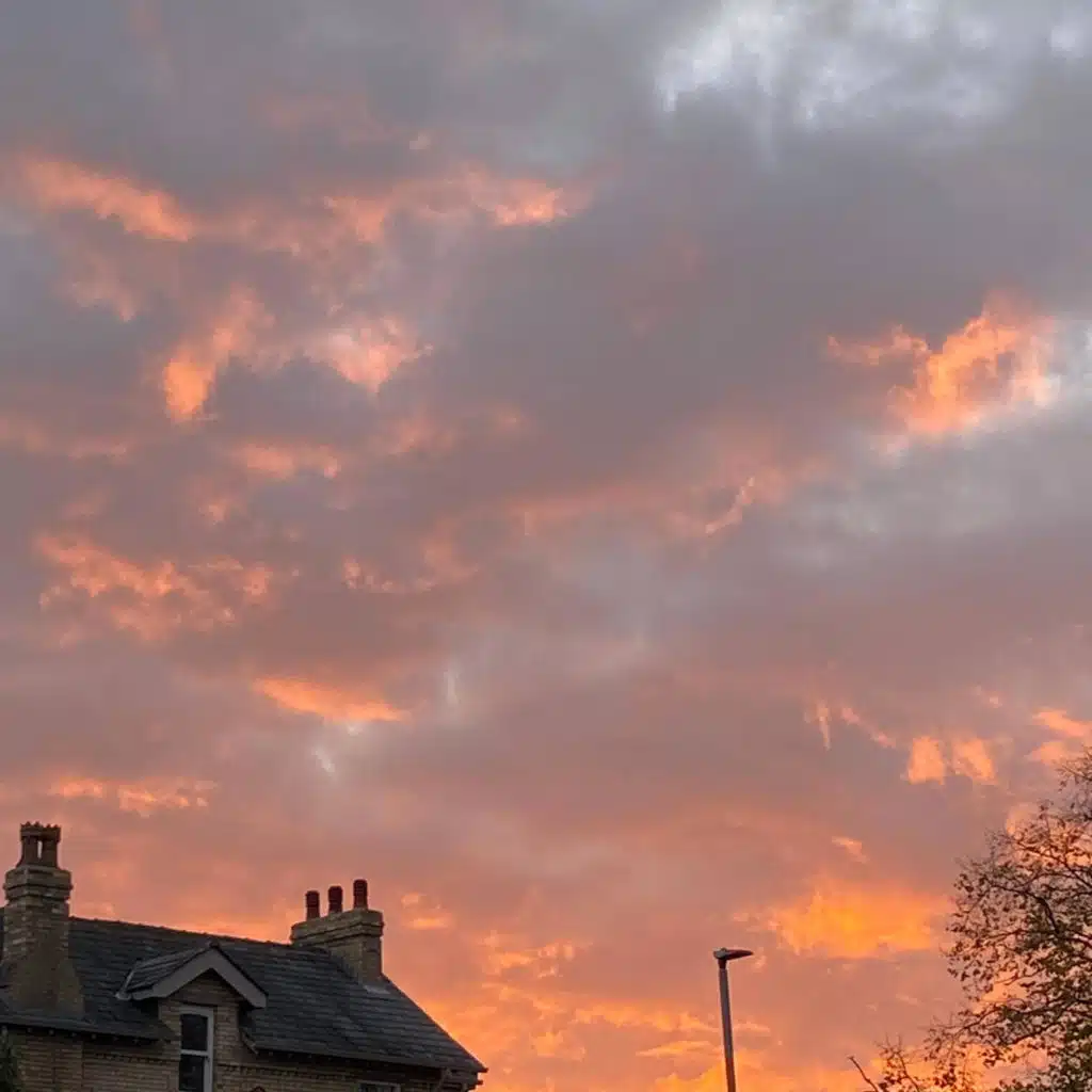 header-image