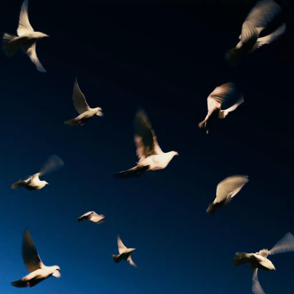 header-image