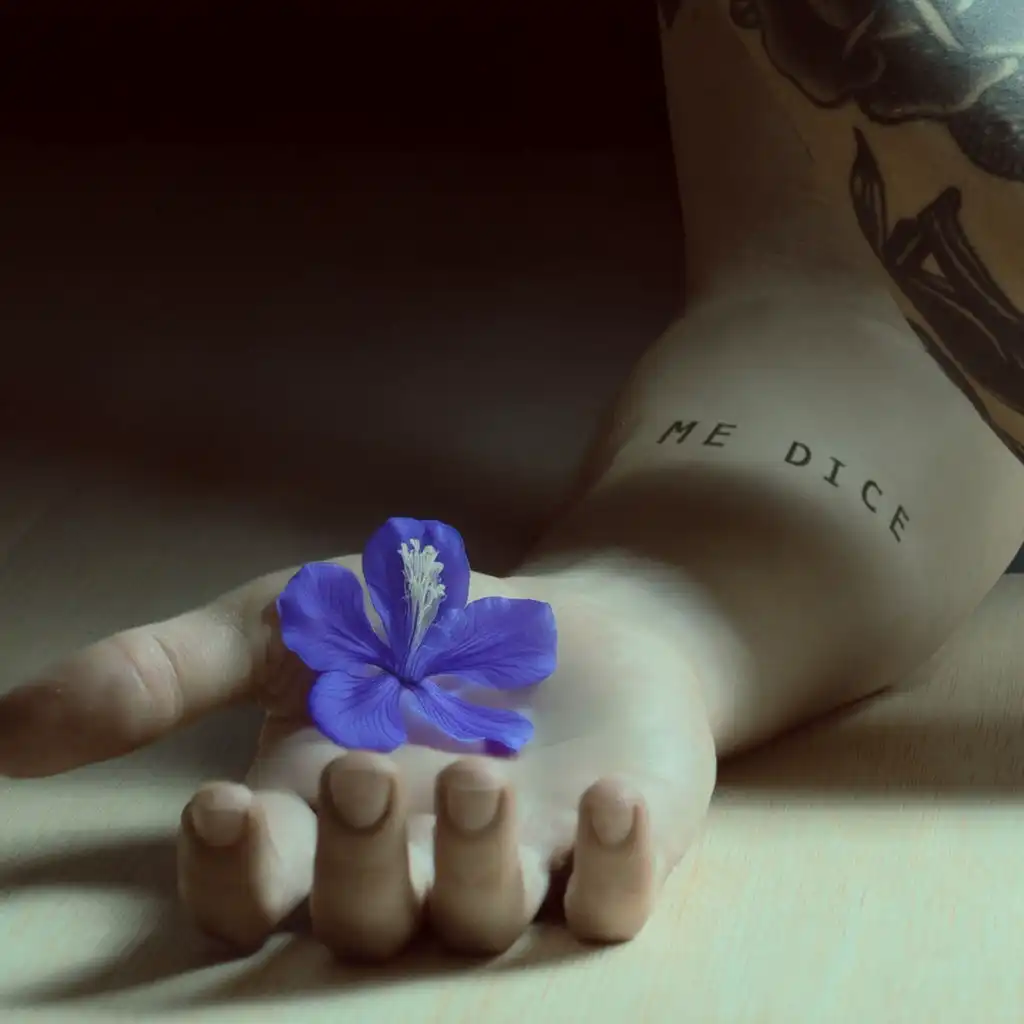 artist-header-image