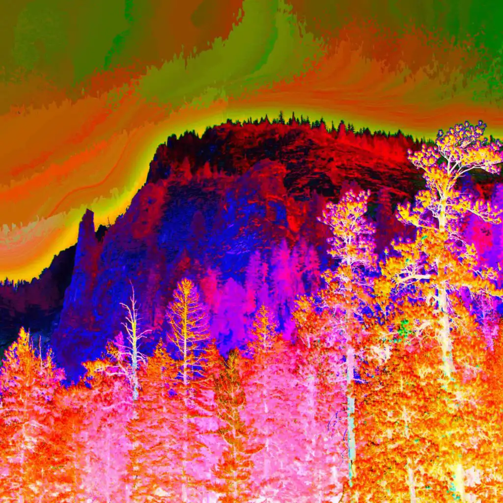 artist-header-image