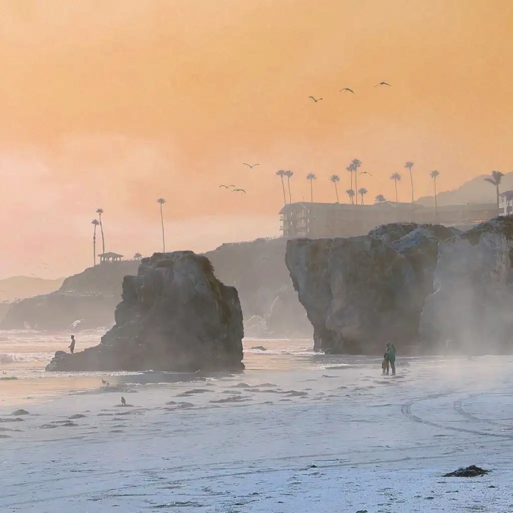 artist-header-image