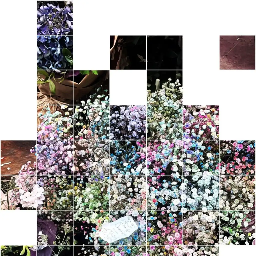 artist-header-image