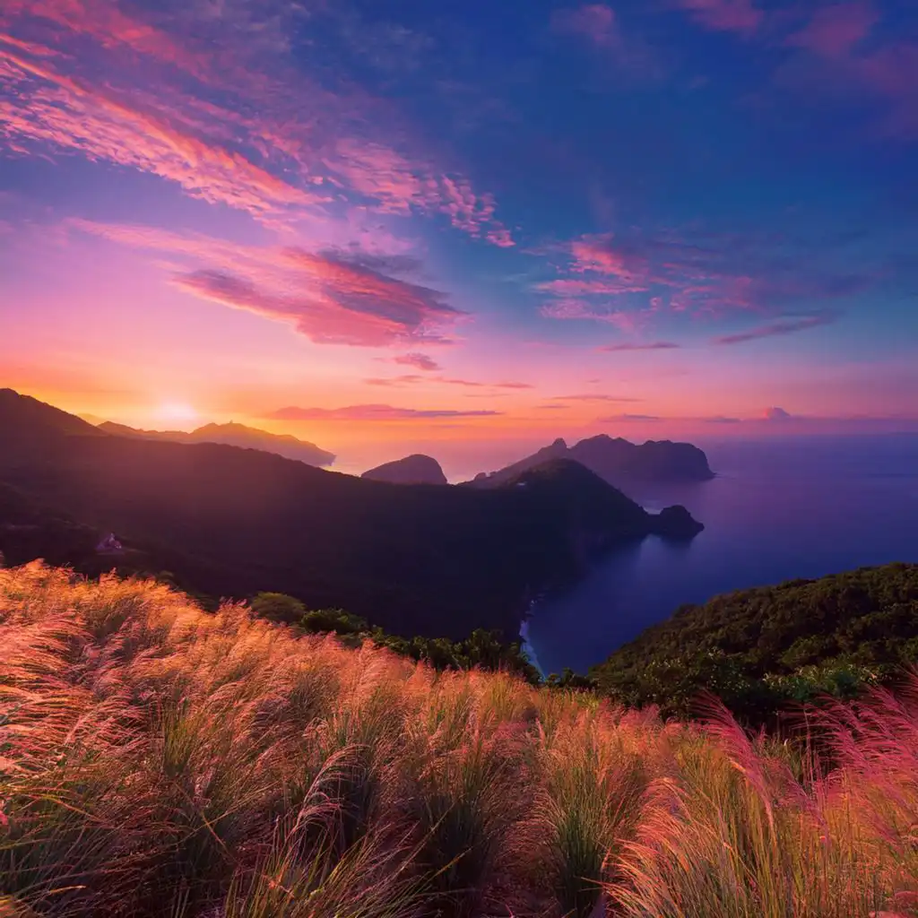 artist-header-image
