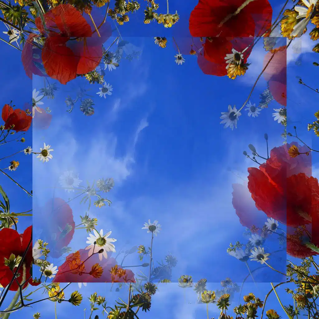 header-image