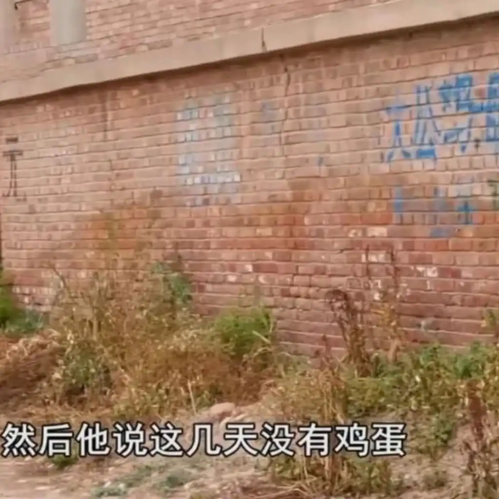 episode-header-image