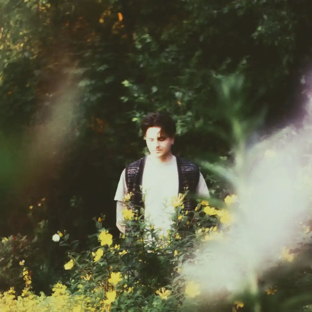 artist-header-image