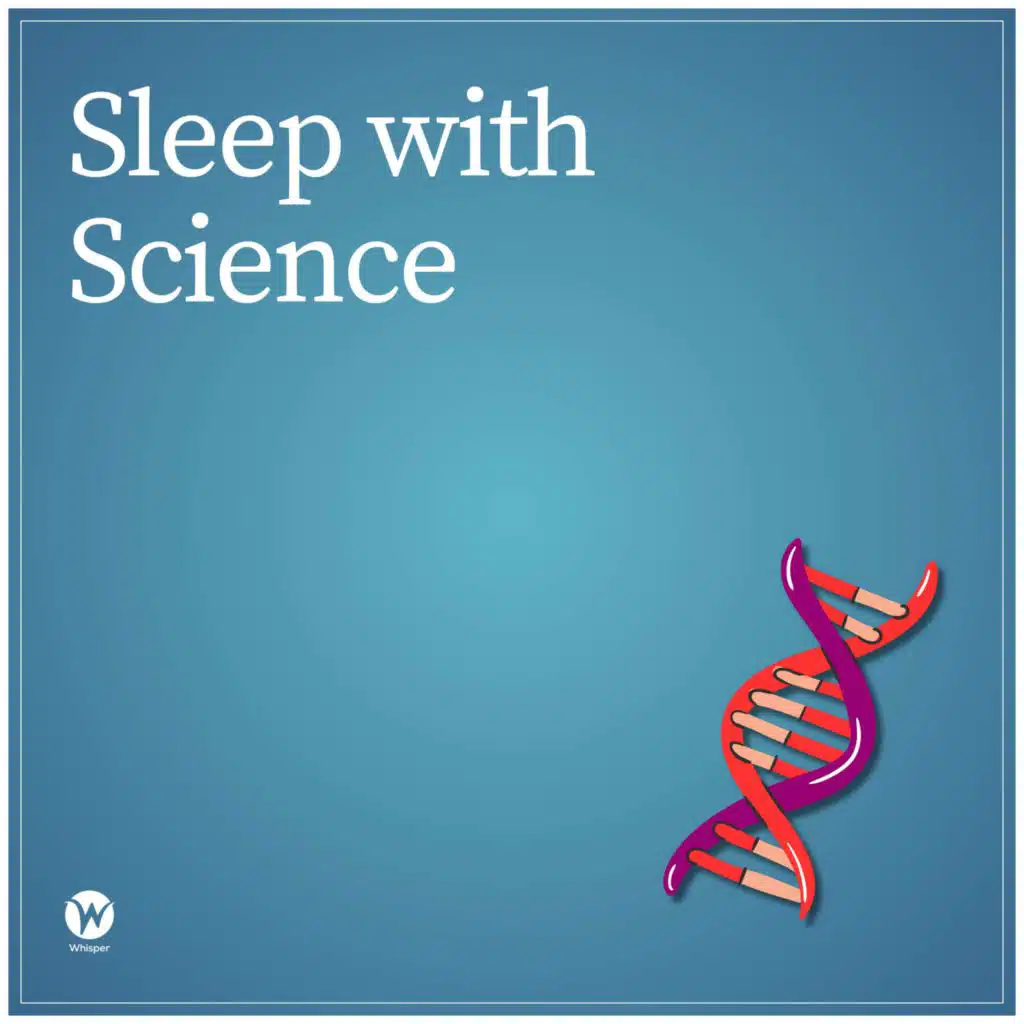 episode-header-image