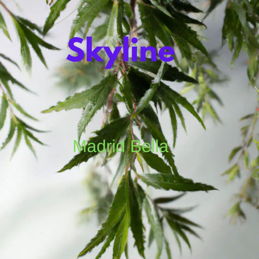 header-image