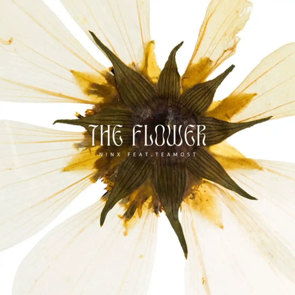 artist-header-image