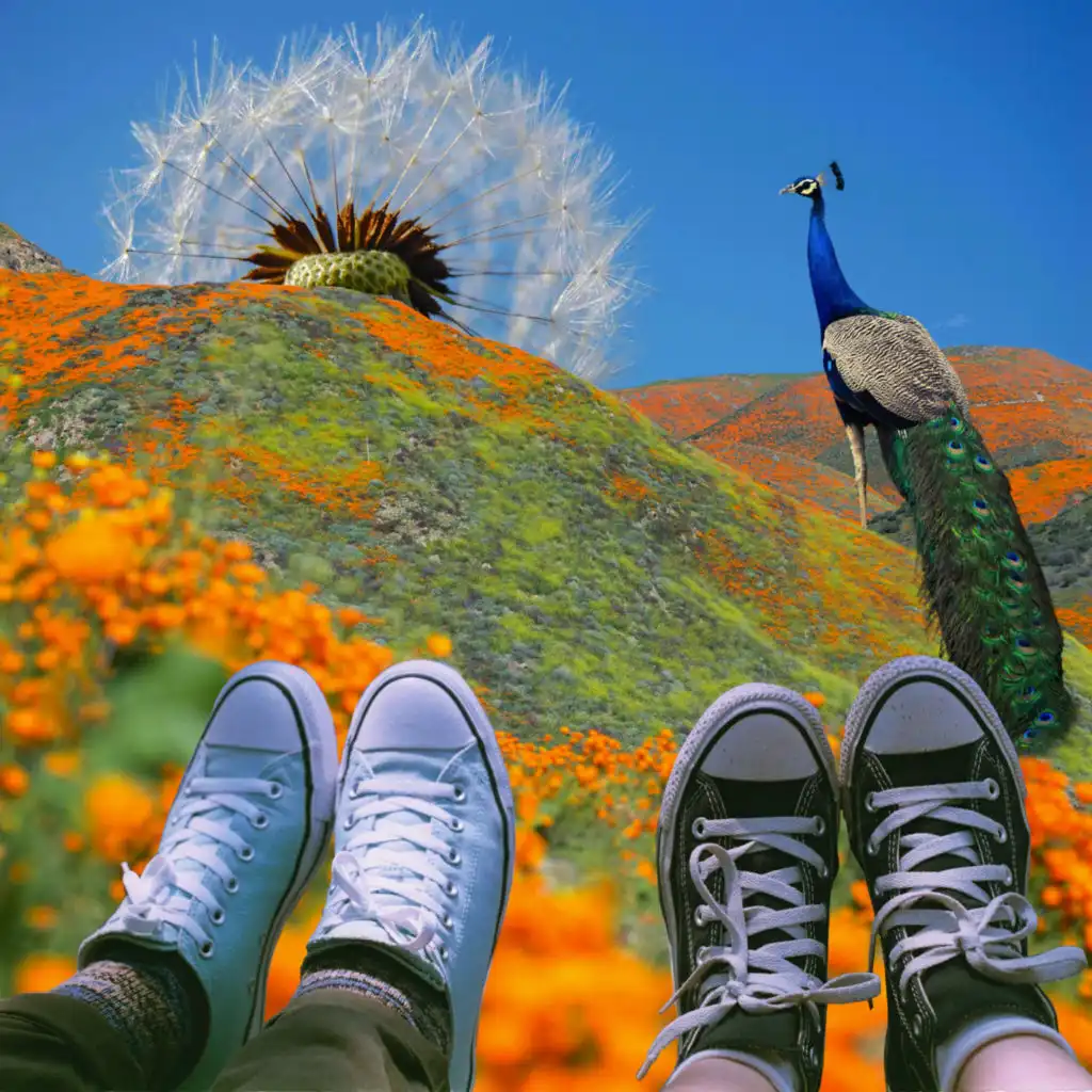 artist-header-image