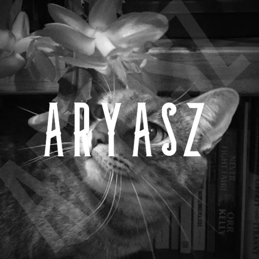 artist-header-image
