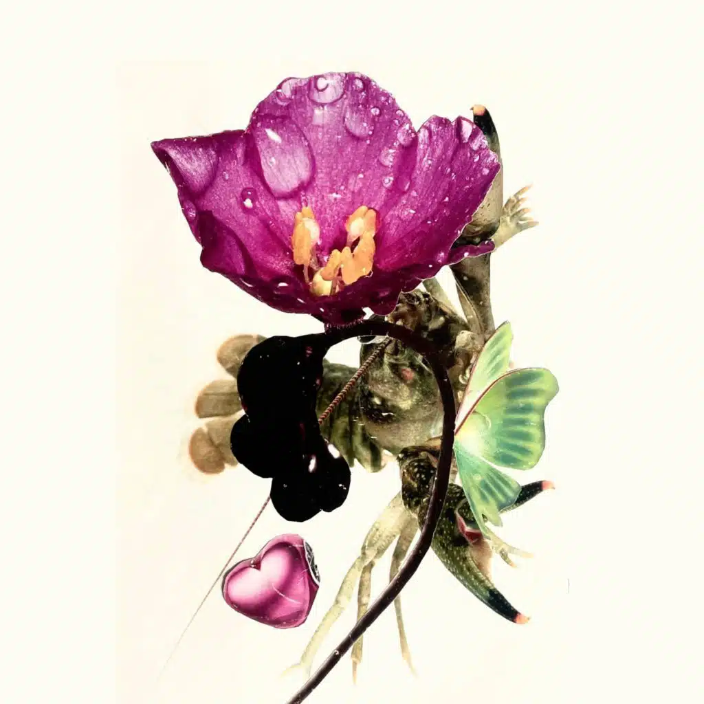 artist-header-image