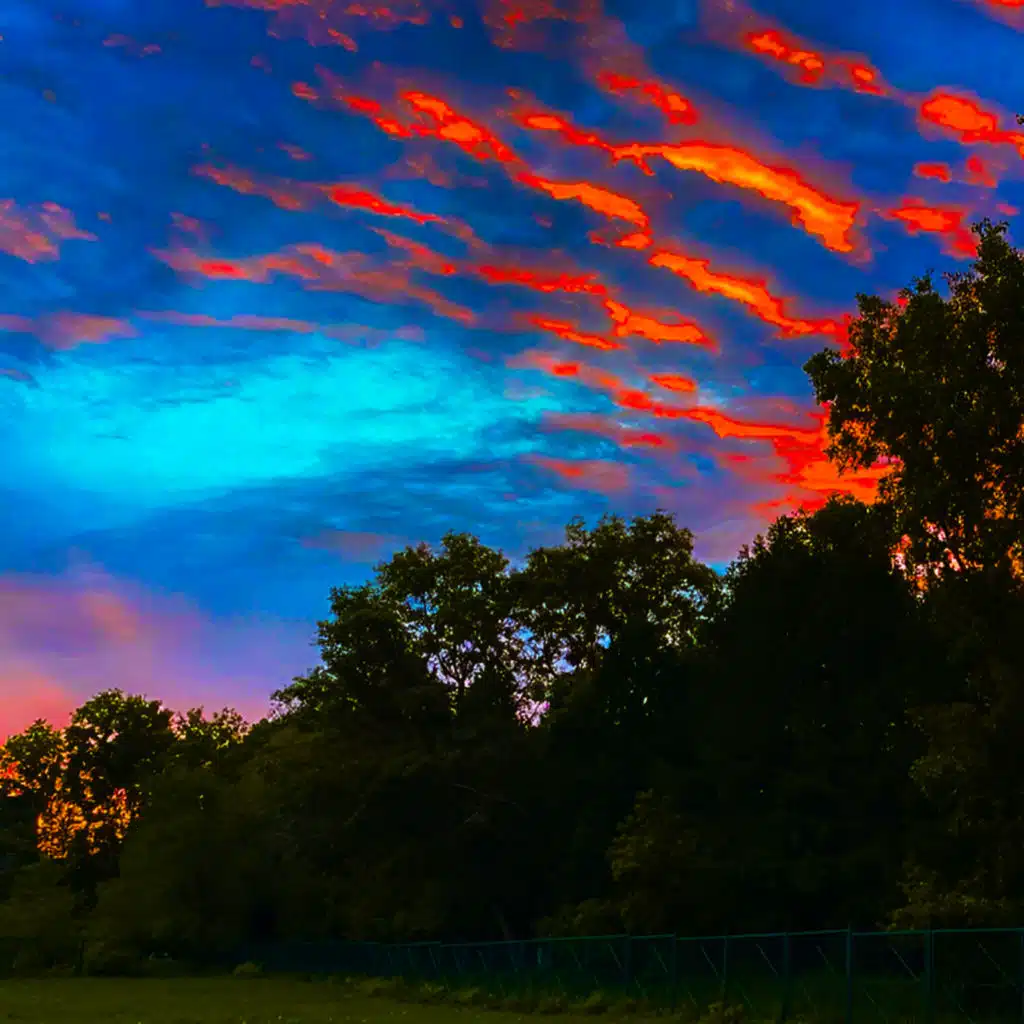 header-image