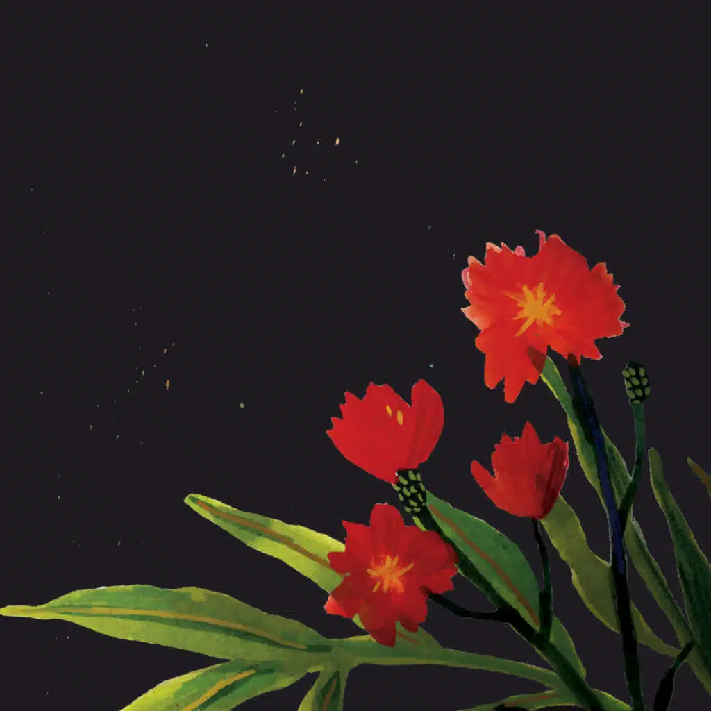 artist-header-image